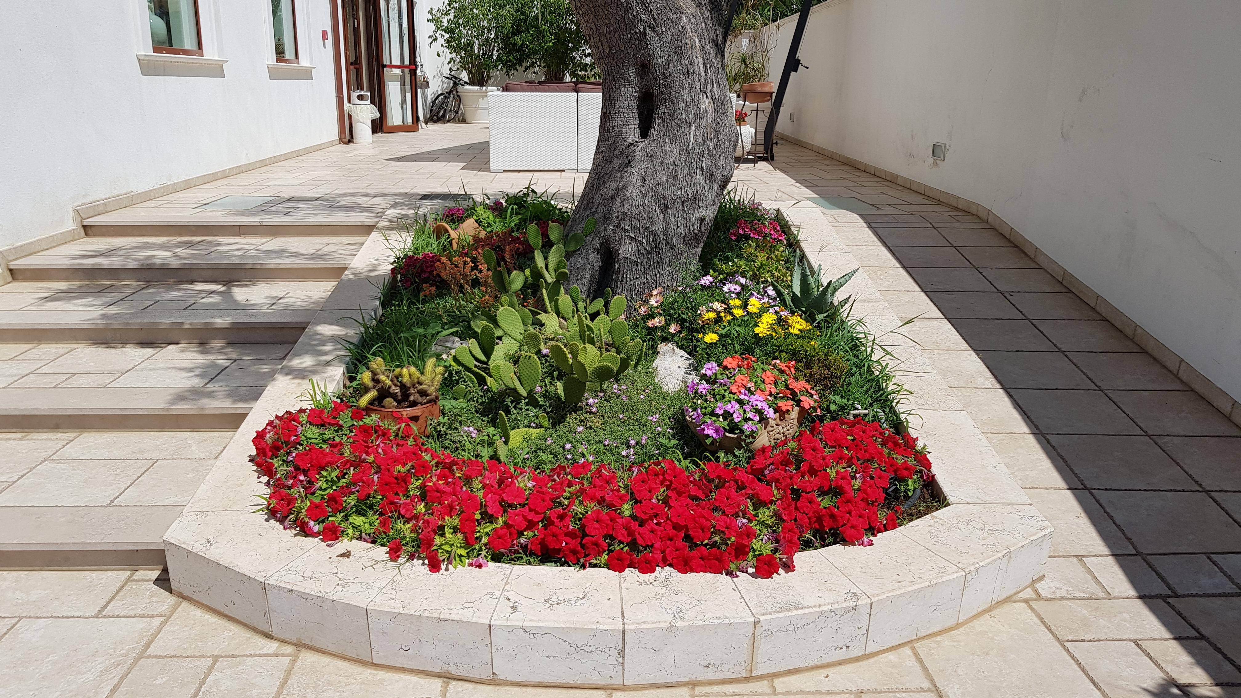 Hotel Victoria Torre Santa Sabina Eksteriør bilde