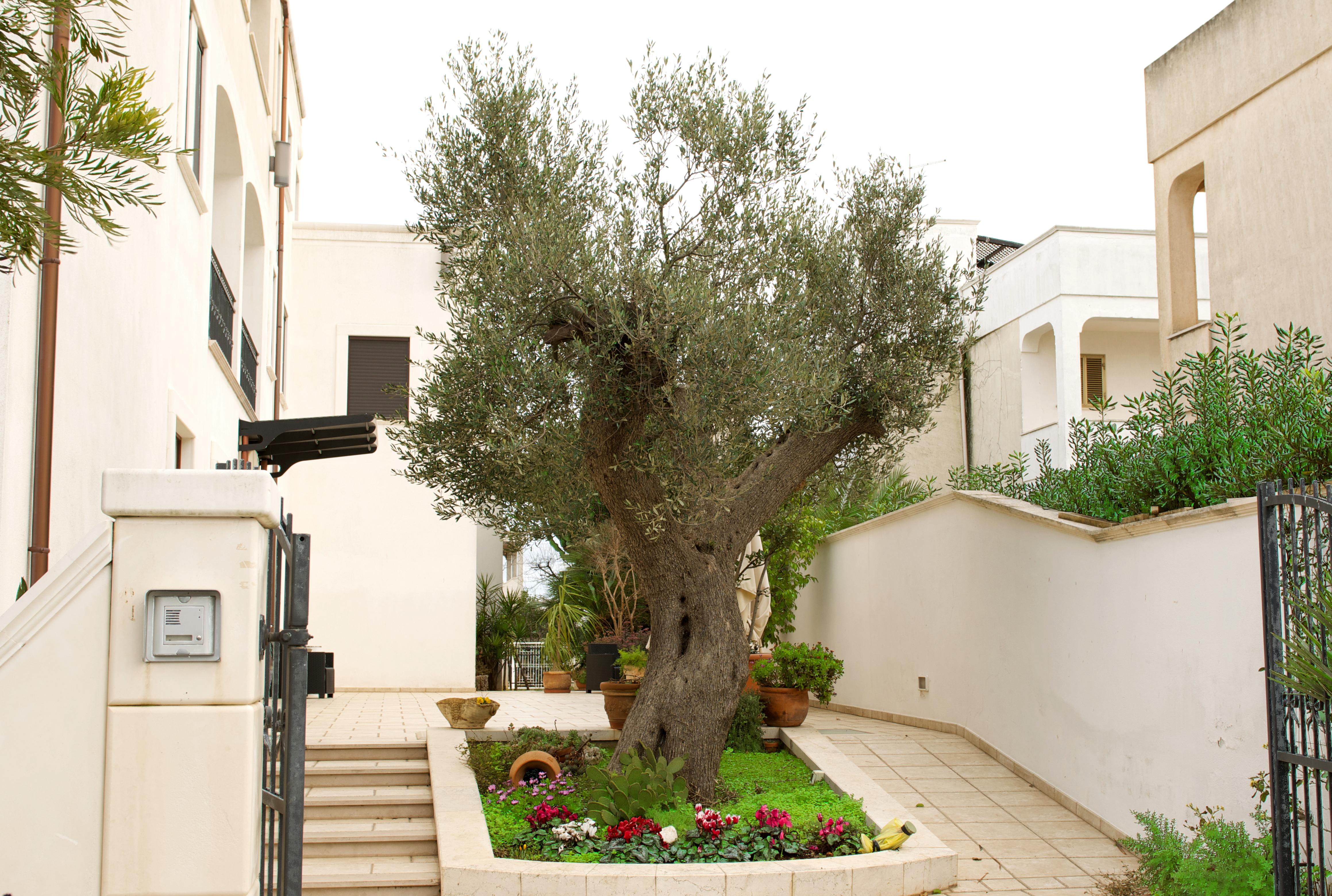Hotel Victoria Torre Santa Sabina Eksteriør bilde